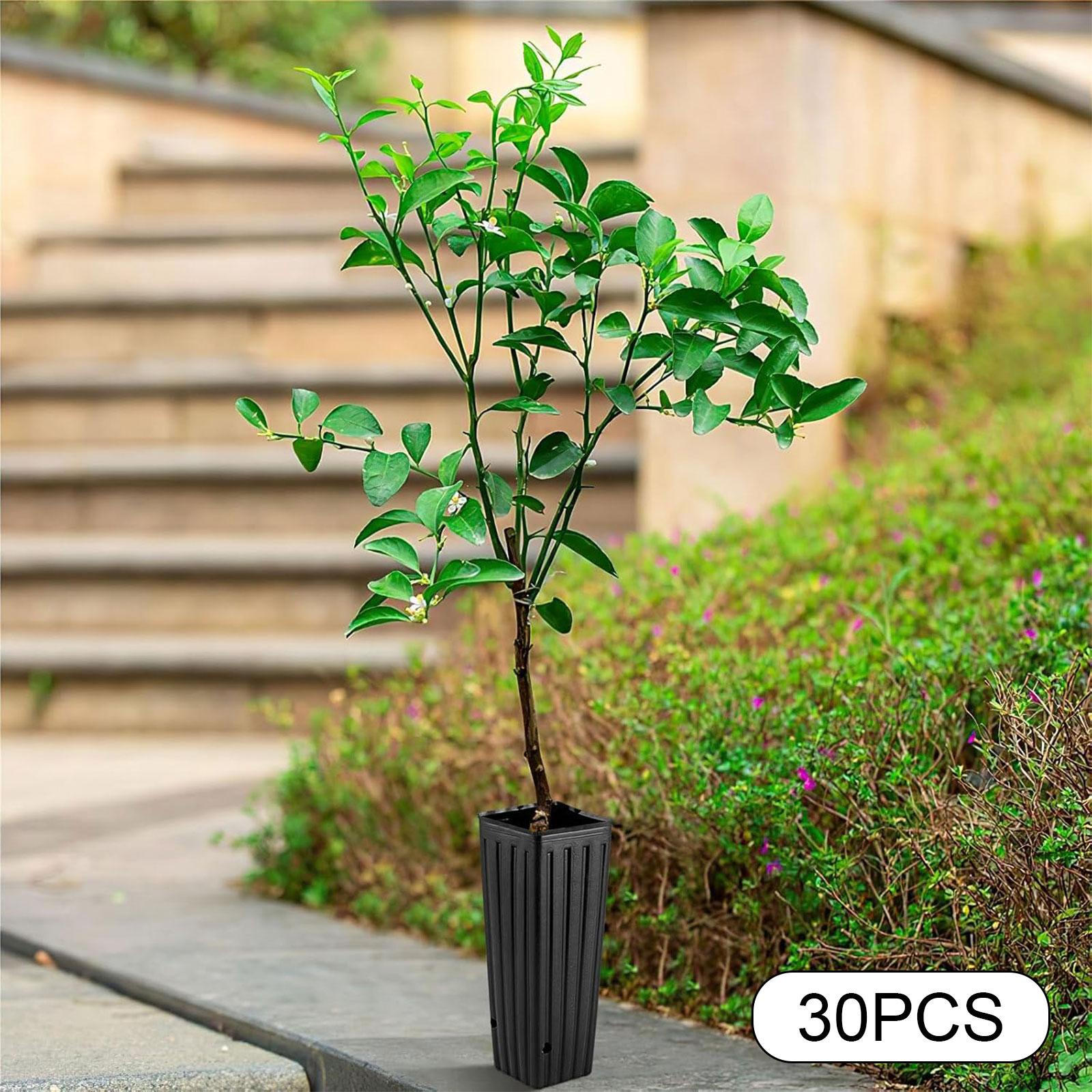 30 Pieces Nursery Planter Tall Deep Tree Pot Growing Reusable Vegetables Sturdy Convenient Versatile XS
30 Pieces Nursery Planter Tall Deep Tree Pot Growing Reusable Vegetables Sturdy Convenient Versatile XS