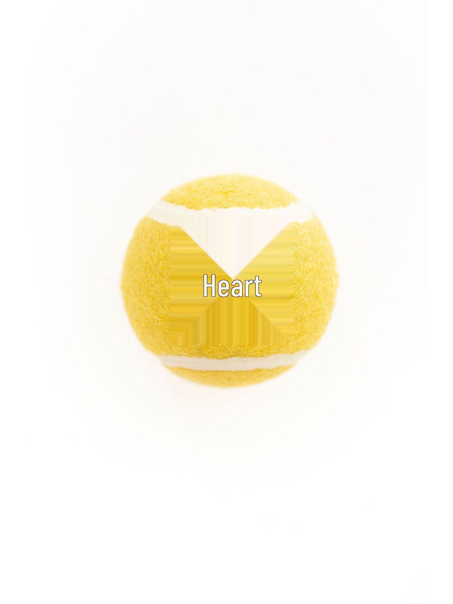 Bite-Resistant Pet Bouncy Ball: Durable Teething Toy for Small, Medium, and Large Dogs 6.3 cm
Bite-Resistant Pet Bouncy Ball: Durable Teething Toy for Small, Medium, and Large Dogs 6.3 cm