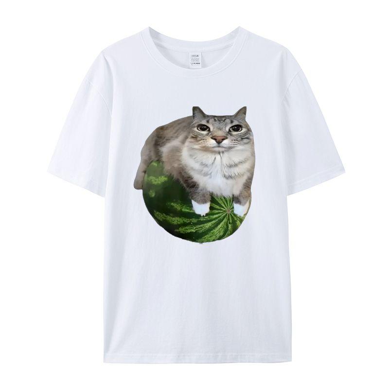 Веселая футболка с принтом кошек, летняя, ретро, каваи, мужская и женская, для серфинга, пляжная, дышащая, повседневный топ 4XL
Веселая футболка с принтом кошек, летняя, ретро, каваи, мужская и женская, для серфинга, пляжная, дышащая, повседневный топ 4XL