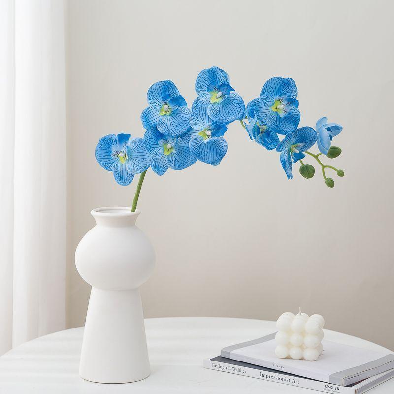 Фаленопсис Имитация Цветов Украшение Гостиной Цветочный Букет Высококачественный Свет Роскошный Обеденный Стол Цветочный Взрыв Букет Украшение Цветок 8 pcs
Фаленопсис Имитация Цветов Украшение Гостиной Цветочный Букет Высококачественный Свет Роскошный Обеденный Стол Цветочный Взрыв Букет Украшение Цветок 8 pcs