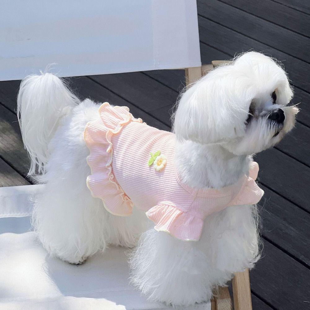 Мягкая юбка для собак INS Style Pet Clothing Шнауцер Весенний жилет для собак Кошка XL зелёный
Мягкая юбка для собак INS Style Pet Clothing Шнауцер Весенний жилет для собак Кошка XL зелёный