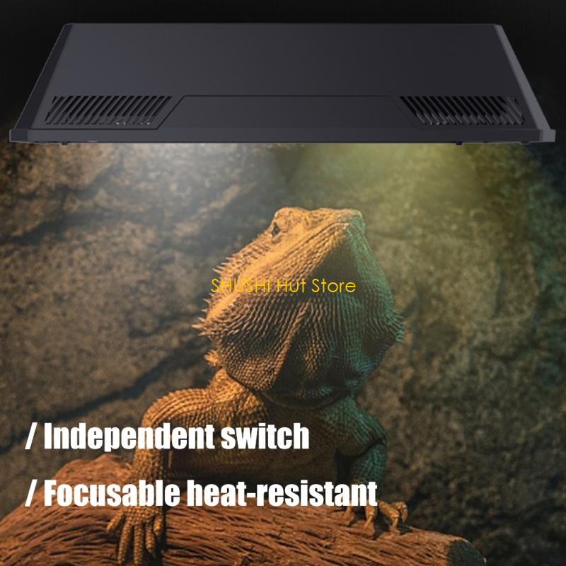 Reptiles Habitat Double Head Lamp Fixtures Horizontal Mount Ceramics Reinforced Structure For Customizable Terrariums D57B China Mainland
Reptiles Habitat Double Head Lamp Fixtures Horizontal Mount Ceramics Reinforced Structure For Customizable Terrariums D57B China Mainland