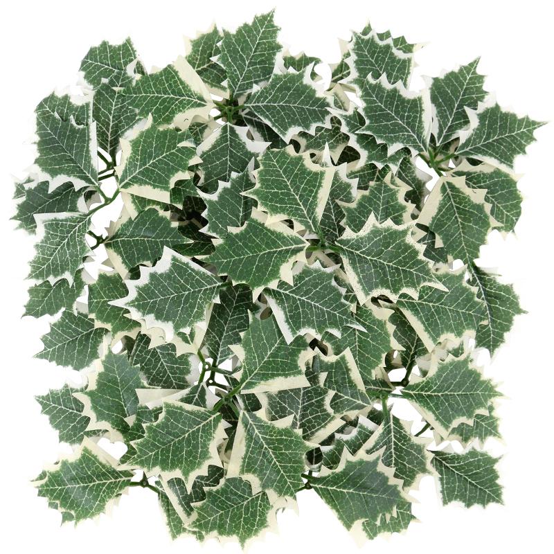 10 шт. Искусственные ягоды падуба с листьями Рождественские DIY Венок Поделки Украшение дома Рождественские украшения для елки Цветок Новогодний подарок
10 шт. Искусственные ягоды падуба с листьями Рождественские DIY Венок Поделки Украшение дома Рождественские украшения для елки Цветок Новогодний подарок