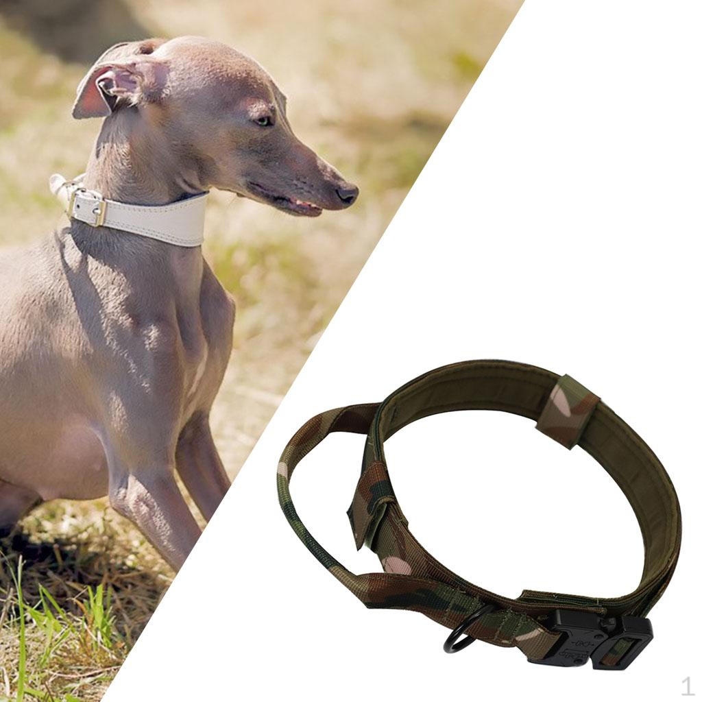 Adjustable for Small Dogs L_Dog Collar
Adjustable for Small Dogs L_Dog Collar