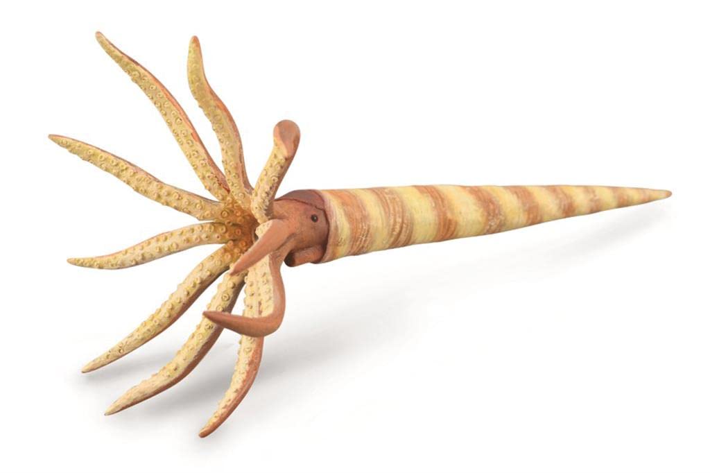 COLLECTA Фигурка динозавра Orthoceras 88903
COLLECTA Фигурка динозавра Orthoceras 88903