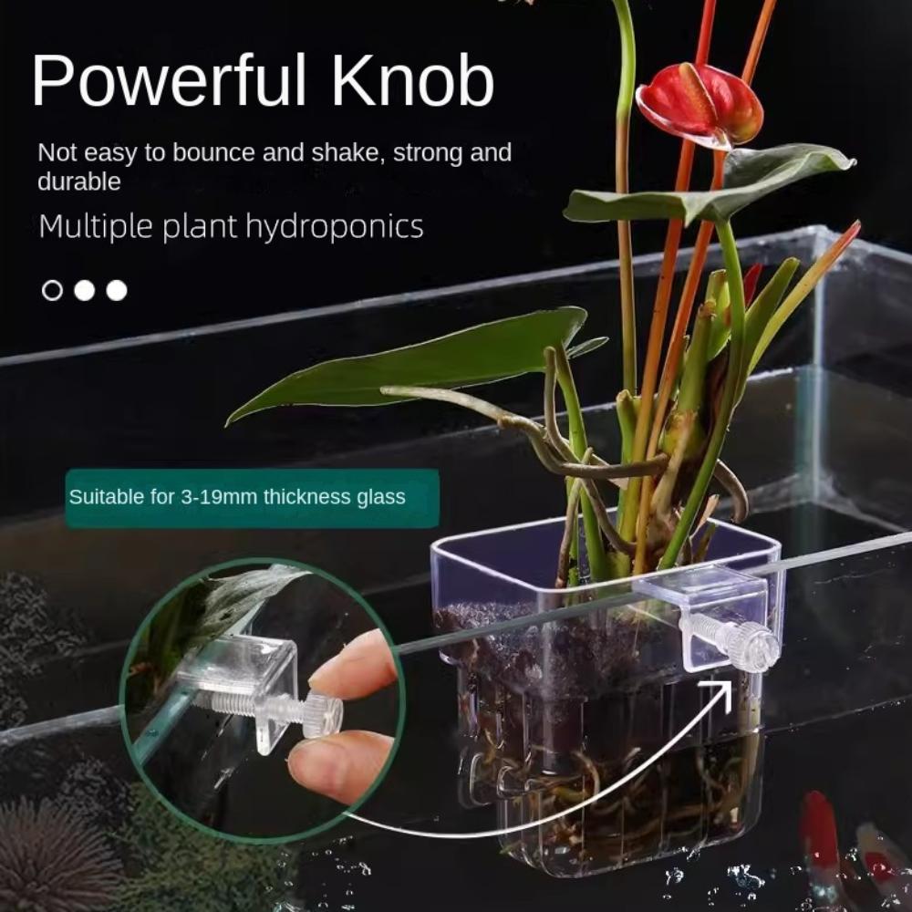 Water Plant Landscape Fish Tank Hydroponic Planting Basket Fish Tank Plant Cup for Fish Tank сірий
Water Plant Landscape Fish Tank Hydroponic Planting Basket Fish Tank Plant Cup for Fish Tank сірий