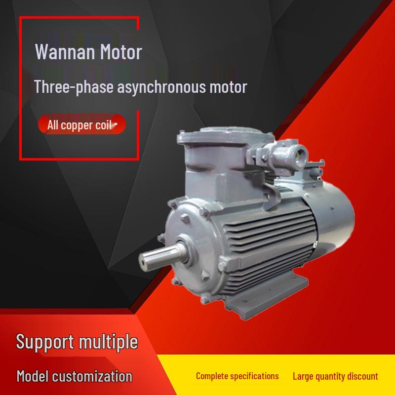 YBBP Series Explosion-Proof Variable Frequency Three-Phase Asynchronous Motor
YBBP Series Explosion-Proof Variable Frequency Three-Phase Asynchronous Motor