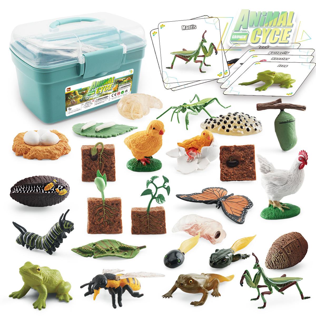 Simulation Of Animals And Plants Insects 6 Themes Butterfly Bee Frog Model Growth Cycle Storage Box Set
Simulation Of Animals And Plants Insects 6 Themes Butterfly Bee Frog Model Growth Cycle Storage Box Set