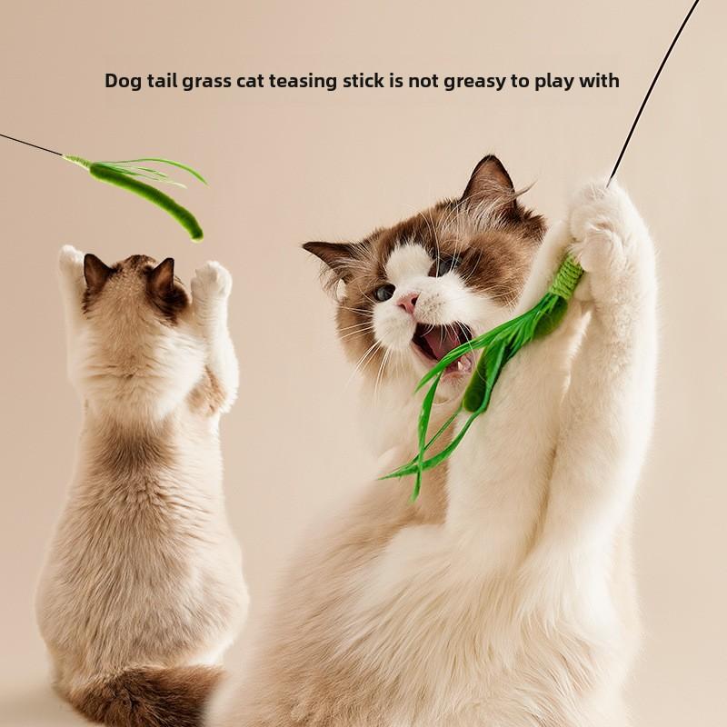 Cat Dog Tail Grass Dog Sage Feather Long Pole Cat Teasing Stick Bite Resistant Self Soothing Tool Cat Toy Pet Supplies зелёный
Cat Dog Tail Grass Dog Sage Feather Long Pole Cat Teasing Stick Bite Resistant Self Soothing Tool Cat Toy Pet Supplies зелёный