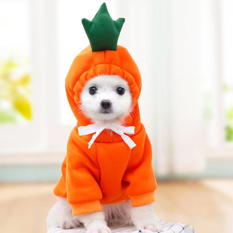 Adorable Fruit-Themed Dog Hoodie with Hat - Funny Halloween Cosplay Costume for Dogs and Cats - Cozy Hooded Sweatshirt for Pets M
Adorable Fruit-Themed Dog Hoodie with Hat - Funny Halloween Cosplay Costume for Dogs and Cats - Cozy Hooded Sweatshirt for Pets M