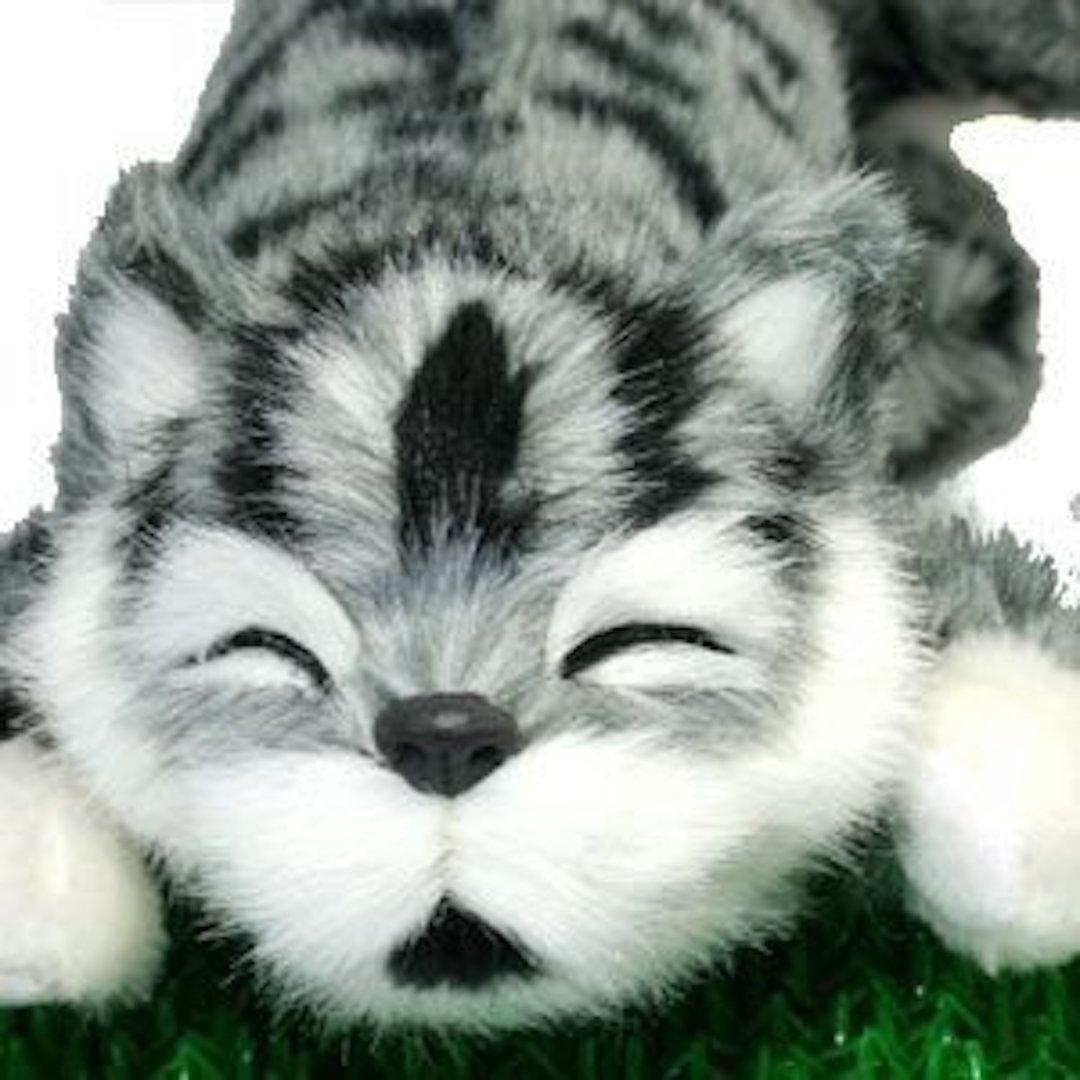 SPACERAIL Смеющийся серый кот, серый
SPACERAIL Смеющийся серый кот, серый