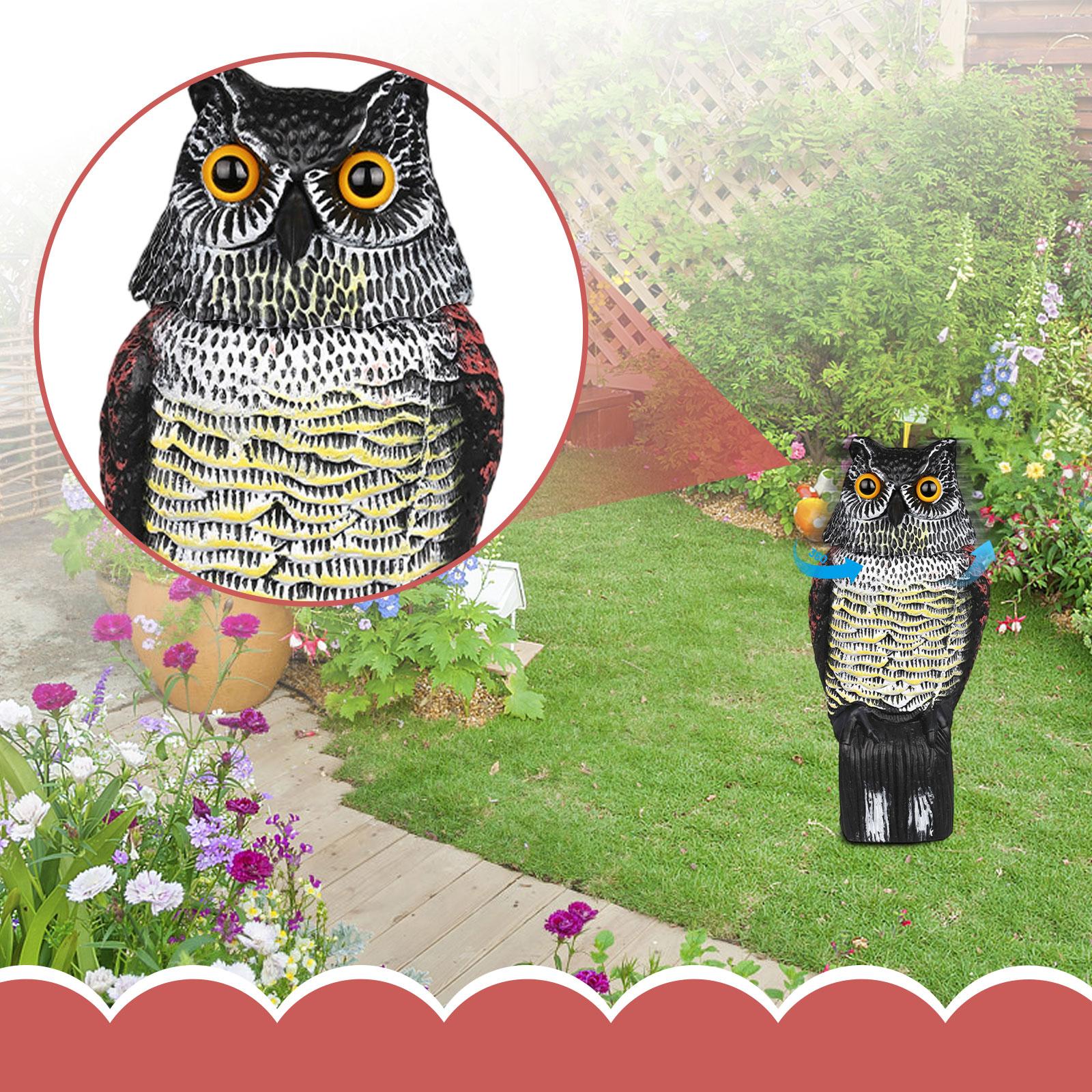 Realistic Owl Decoy for Garden and Outdoor Use Lifelike Bird Repellent Statue for Yard Lawn and Home Protection Against Unwanted Animals One Size
Realistic Owl Decoy for Garden and Outdoor Use Lifelike Bird Repellent Statue for Yard Lawn and Home Protection Against Unwanted Animals One Size