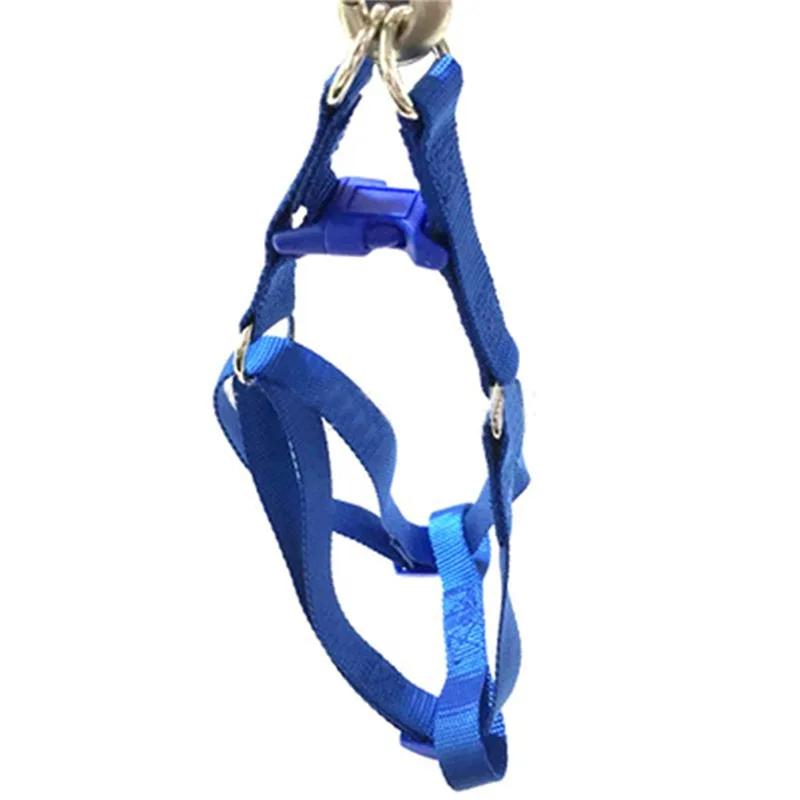 Модна упряж для собак Тягова мотузка Жилет Ремінець Регульована трикутна дихаюча Собаки Цуценята Коти Товари для тварин
Модна упряж для собак Тягова мотузка Жилет Ремінець Регульована трикутна дихаюча Собаки Цуценята Коти Товари для тварин
