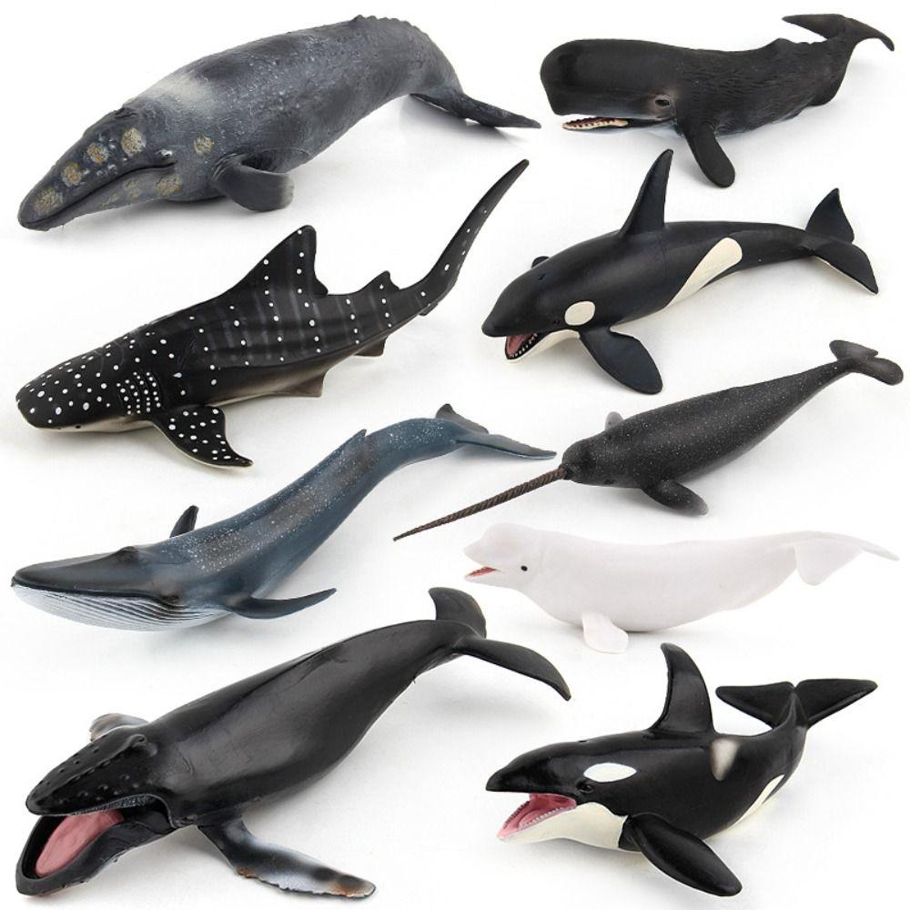 Sperm Whale Whale Figurines Ocean Animals Sea Life Figure Marine Animal Model Christmas Gift Moby Dick
Sperm Whale Whale Figurines Ocean Animals Sea Life Figure Marine Animal Model Christmas Gift Moby Dick