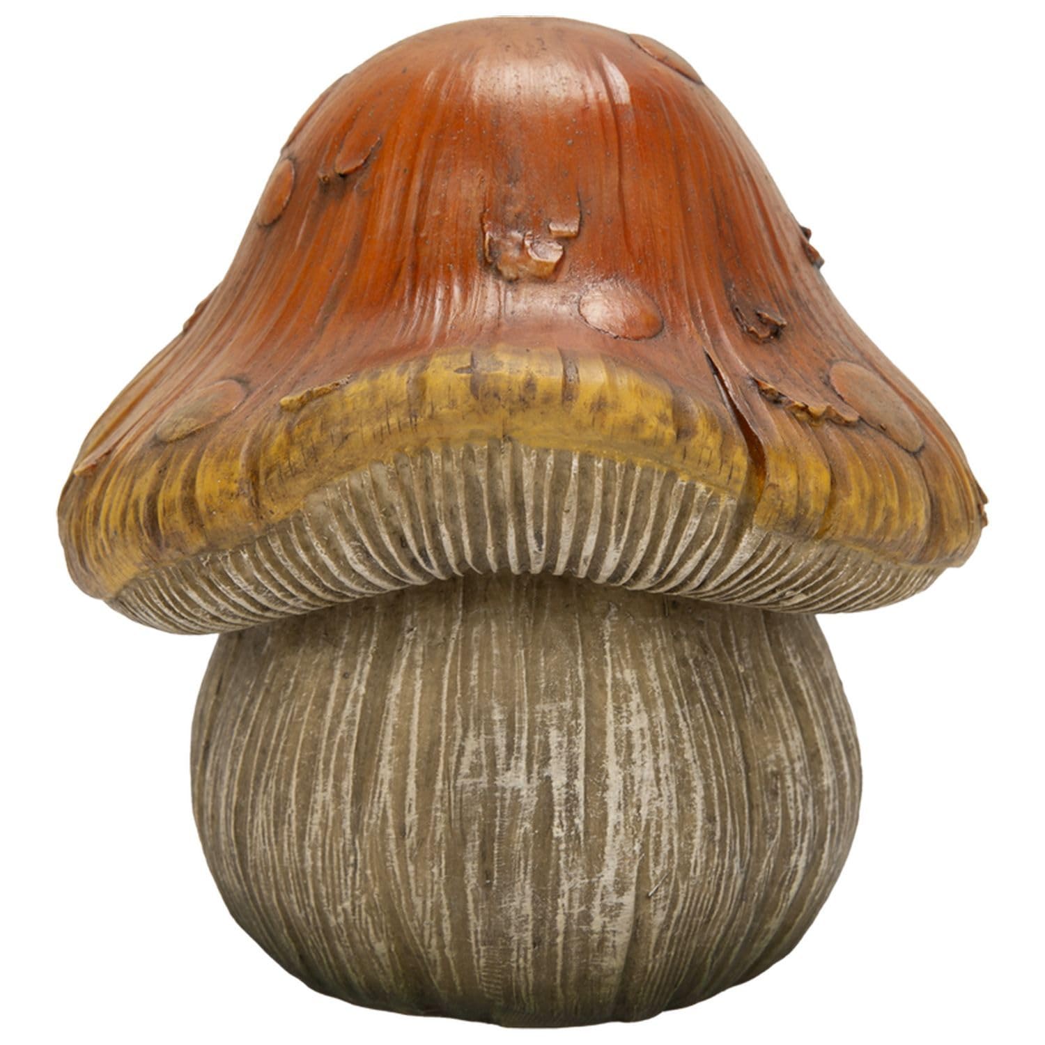 Ubia Mushroom 14 x x cm Doll Figurine Ornament Animal Garden Decor Realistic Cute Mushroom H08292 (Small) 13.5 13.5
Ubia Mushroom 14 x x cm Doll Figurine Ornament Animal Garden Decor Realistic Cute Mushroom H08292 (Small) 13.5 13.5