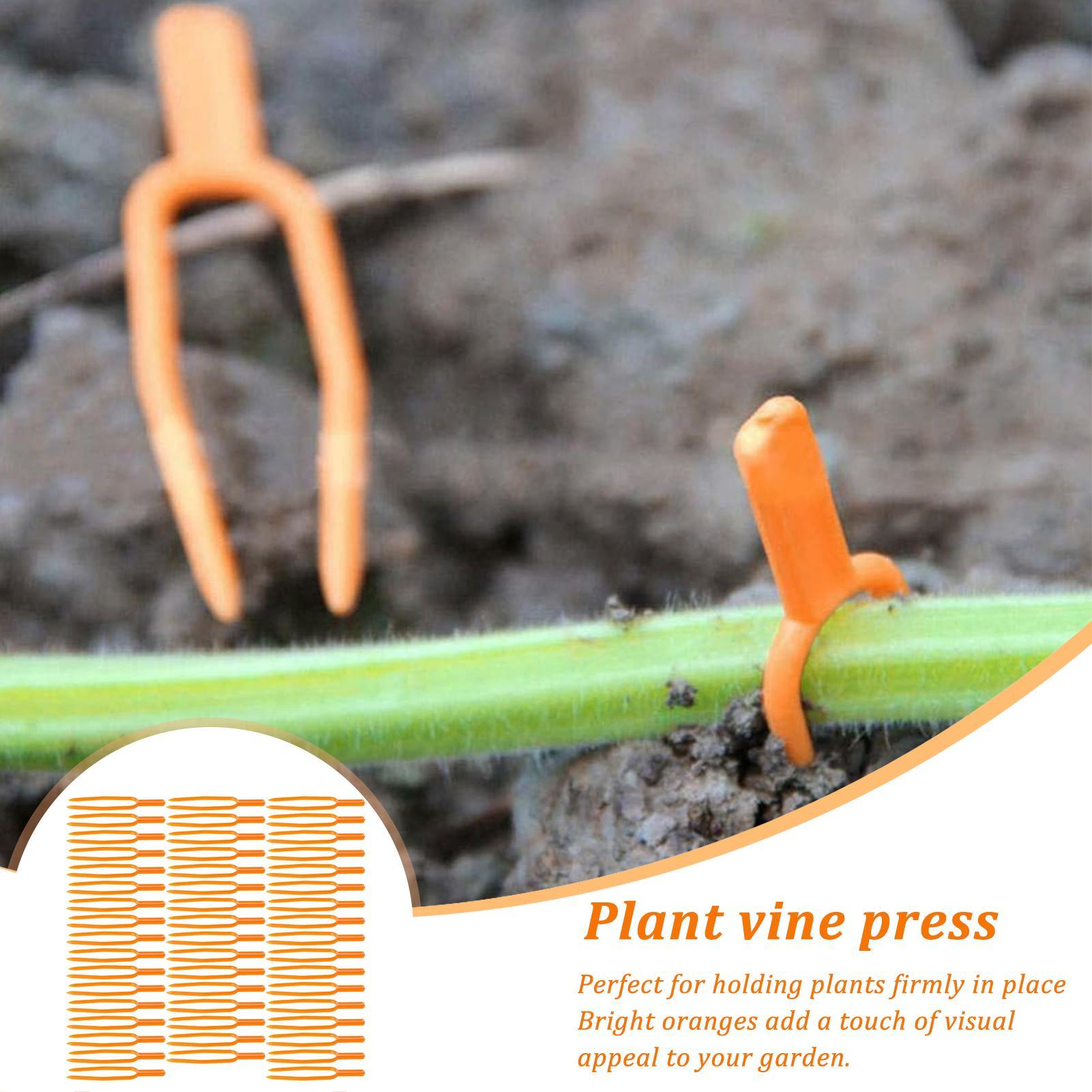 50pcs Plant Clip Strawberry Fork Tool Gardening Plastic Environmental watermelon fixing fixture, clamp, plant bracket Xxxl
50pcs Plant Clip Strawberry Fork Tool Gardening Plastic Environmental watermelon fixing fixture, clamp, plant bracket Xxxl