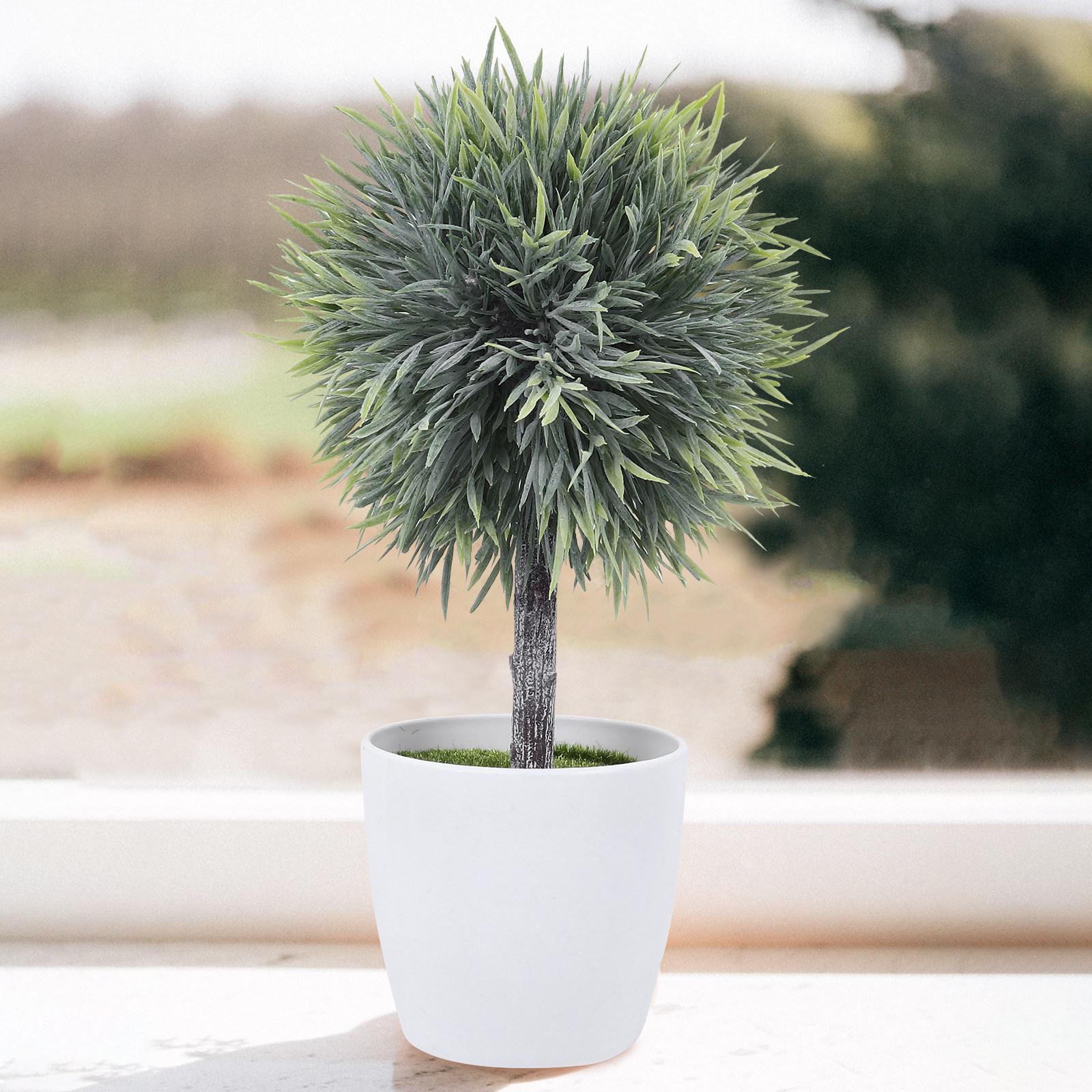 Desktop Fake Bonsai Artificial Plant with Pot for Indoor Window Sill Bookshelf Coffee Table Decor High Quality Lifelike 8X18CM
Desktop Fake Bonsai Artificial Plant with Pot for Indoor Window Sill Bookshelf Coffee Table Decor High Quality Lifelike 8X18CM