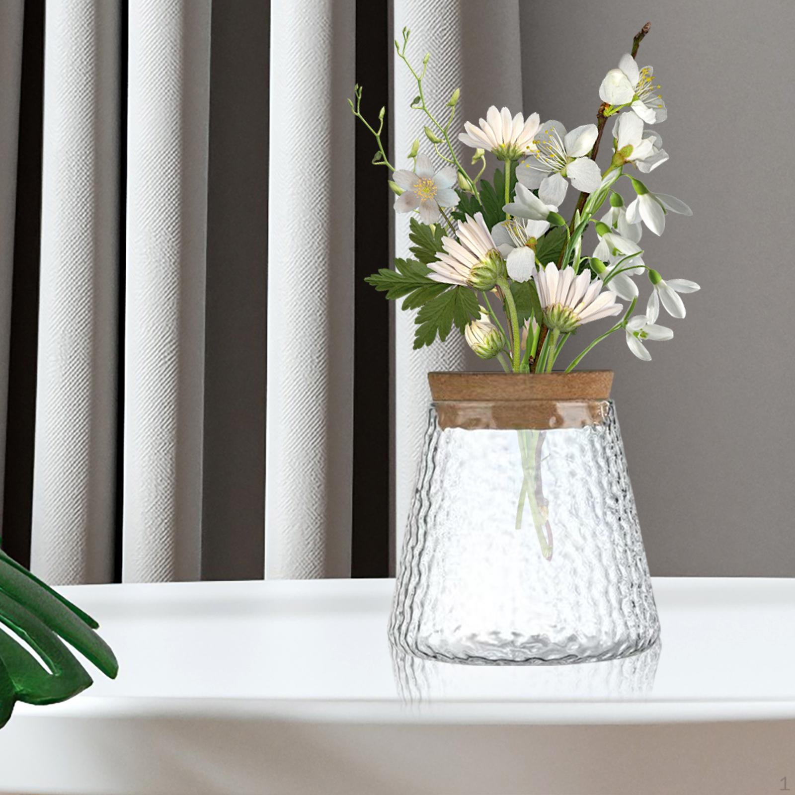 Desktop Glass Planter Vase Hydroponic Water Planting Bud Plant Bottle for With Tray Vertical
Desktop Glass Planter Vase Hydroponic Water Planting Bud Plant Bottle for With Tray Vertical