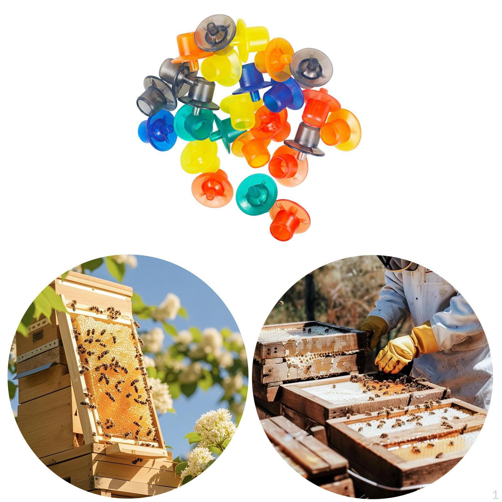 60x Чашечки для пчеловодства, Чашечка для вывода маток для откладки яиц
60x Чашечки для пчеловодства, Чашечка для вывода маток для откладки яиц