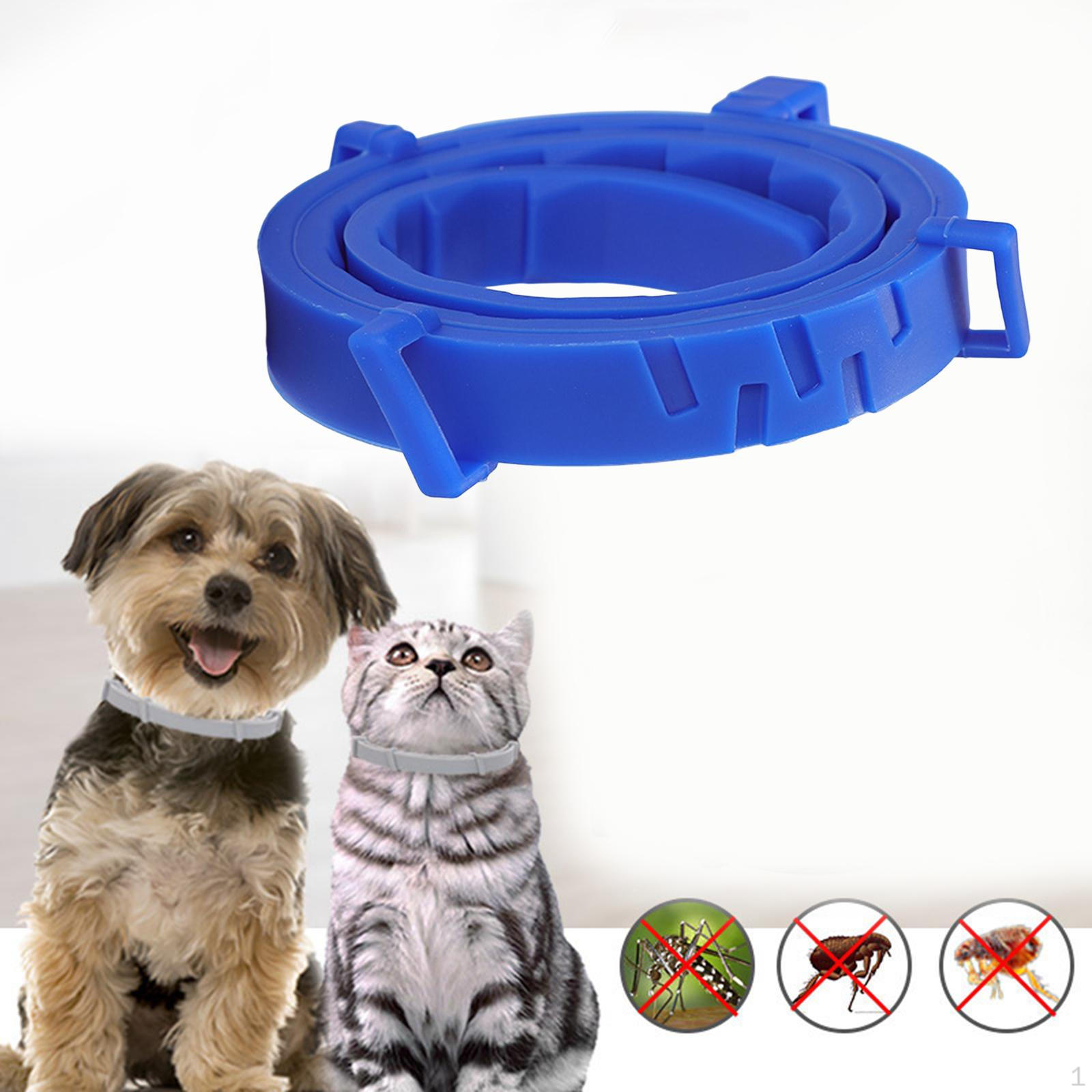 Anti Flea and Tick Neck Kitten Portable 8 Months Protection Dogs Collar blue 38cm
Anti Flea and Tick Neck Kitten Portable 8 Months Protection Dogs Collar blue 38cm