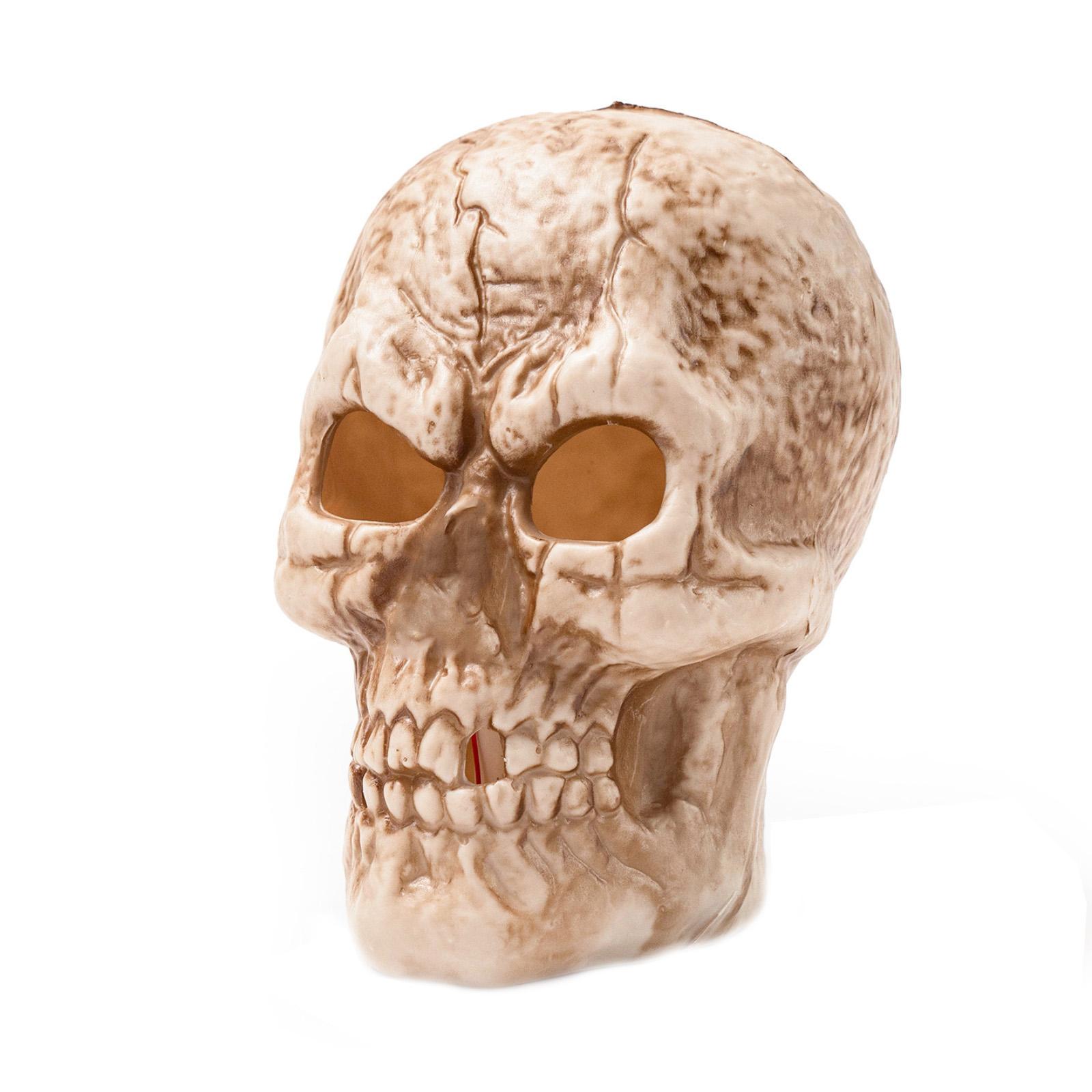 Интересное украшение для атмосферы внутреннего двора, сделайте ваш сад праздничным местом One Size белый
Интересное украшение для атмосферы внутреннего двора, сделайте ваш сад праздничным местом One Size белый