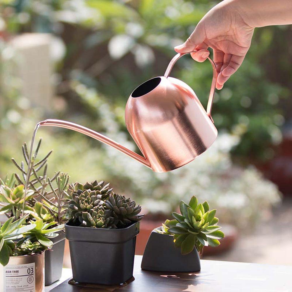 Steel Bonsai For Watering Flower Shower Watering Pot Watering Device Garden tool Watering Can
Steel Bonsai For Watering Flower Shower Watering Pot Watering Device Garden tool Watering Can