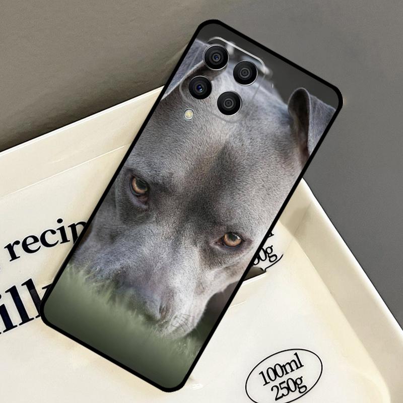 Pit Bull Lovely Dog Pitbull Case For Samsung Galaxy M21 M31 M14 M34 M54 M33 M16 M36 M56 M53 M13 M12 M32 M52 M15 M55 M35 Samsung M56
Pit Bull Lovely Dog Pitbull Case For Samsung Galaxy M21 M31 M14 M34 M54 M33 M16 M36 M56 M53 M13 M12 M32 M52 M15 M55 M35 Samsung M56