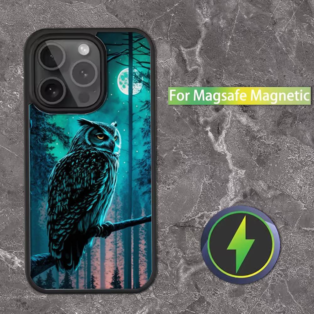 Cute C-Colorful Owl B-Bird Phone Case For iPhone 17,16,15,14,13,12,11,Pro,Max,Plus,Mini,SE Magsafe Magnetic Wireless Charging iPhone14Pro
Cute C-Colorful Owl B-Bird Phone Case For iPhone 17,16,15,14,13,12,11,Pro,Max,Plus,Mini,SE Magsafe Magnetic Wireless Charging iPhone14Pro