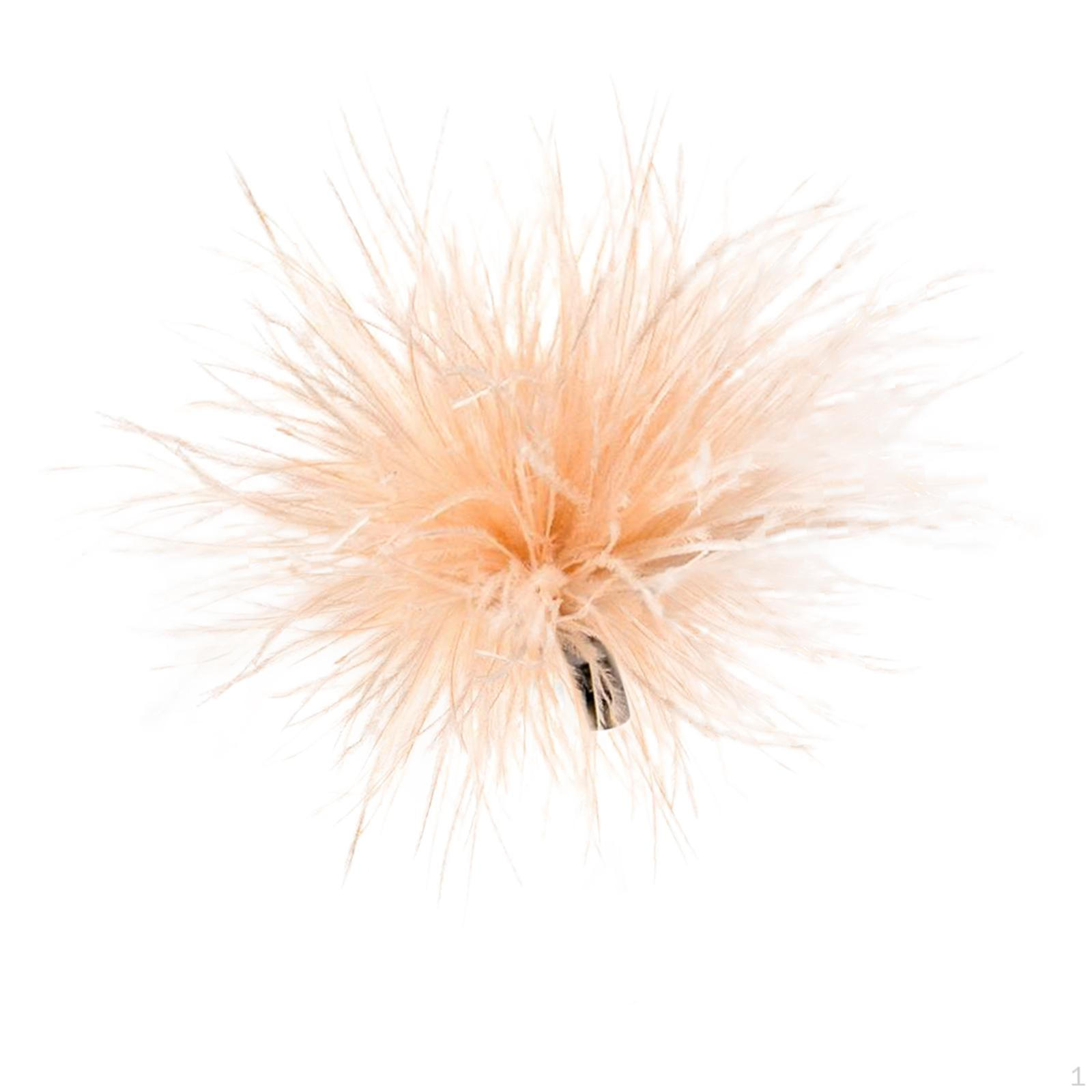 Feather Headwear Hairband Exquisite Brooch Pin for Jewelry Decor шампанського
Feather Headwear Hairband Exquisite Brooch Pin for Jewelry Decor шампанського