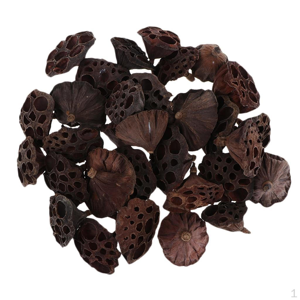 60x Сухие стебли цветка лотоса, Искусственный цветок для домашнего декора 3-12см
60x Сухие стебли цветка лотоса, Искусственный цветок для домашнего декора 3-12см