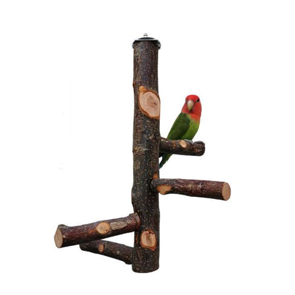POTATO Parrot Perch Set of 5 Bird Perch Scratching Perch Nail Polishing Natural Wood Parakeet Cage Accessories Wooden Stage Stand Beak Small Bird Chew
POTATO Parrot Perch Set of 5 Bird Perch Scratching Perch Nail Polishing Natural Wood Parakeet Cage Accessories Wooden Stage Stand Beak Small Bird Chew