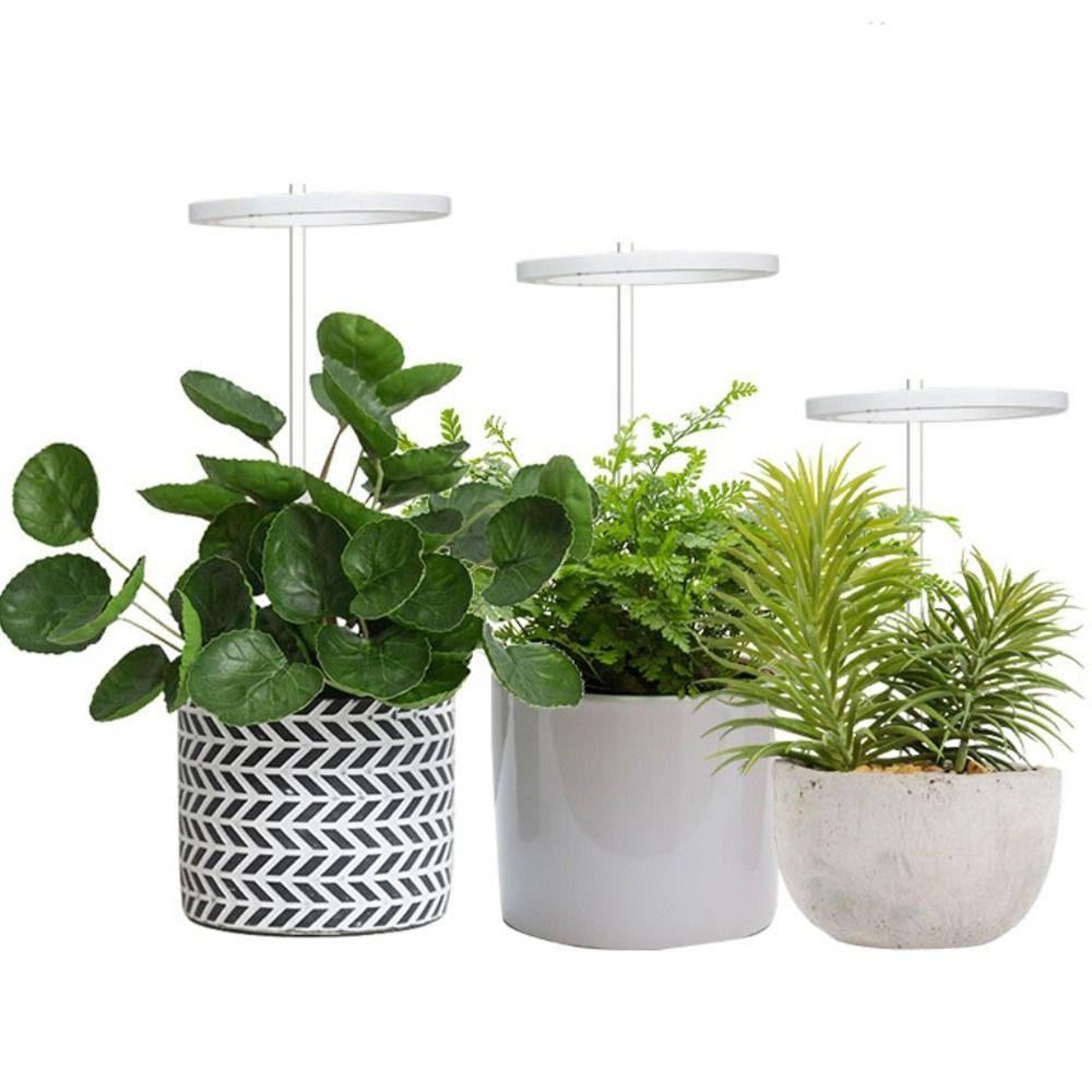 Timer For Indoor Plants Herb Potted Full Spectrum Plant Light LED Light Growing Lamp Ring Light
Timer For Indoor Plants Herb Potted Full Spectrum Plant Light LED Light Growing Lamp Ring Light
