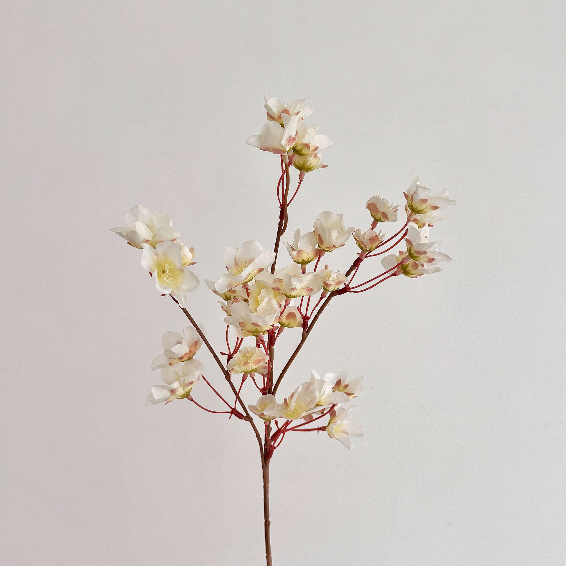 Peach Blossom Artificial Cherry Blossom Home Decoration, 40cm Short Stem Fake Flower Ornament білий
Peach Blossom Artificial Cherry Blossom Home Decoration, 40cm Short Stem Fake Flower Ornament білий