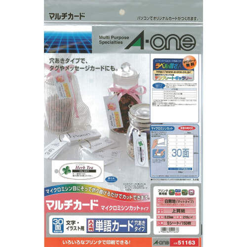 A-One Multi Card 30-сторонняя карточка со словами, размер перфорированный, 5 карт 51163
A-One Multi Card 30-сторонняя карточка со словами, размер перфорированный, 5 карт 51163