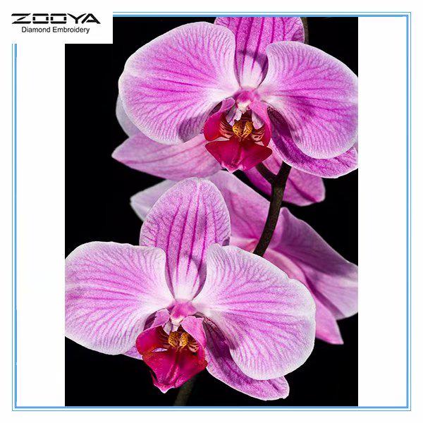 ZOOYA DIY 5D Алмазная картина Вышивка Полный дрель Алмазная мозаика Цветы Вышивка крестом Домашний декор
ZOOYA DIY 5D Алмазная картина Вышивка Полный дрель Алмазная мозаика Цветы Вышивка крестом Домашний декор