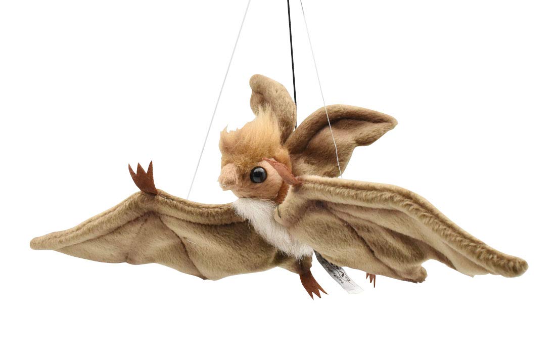 Канал BH3064 HANSA Bat Brown 37
Канал BH3064 HANSA Bat Brown 37