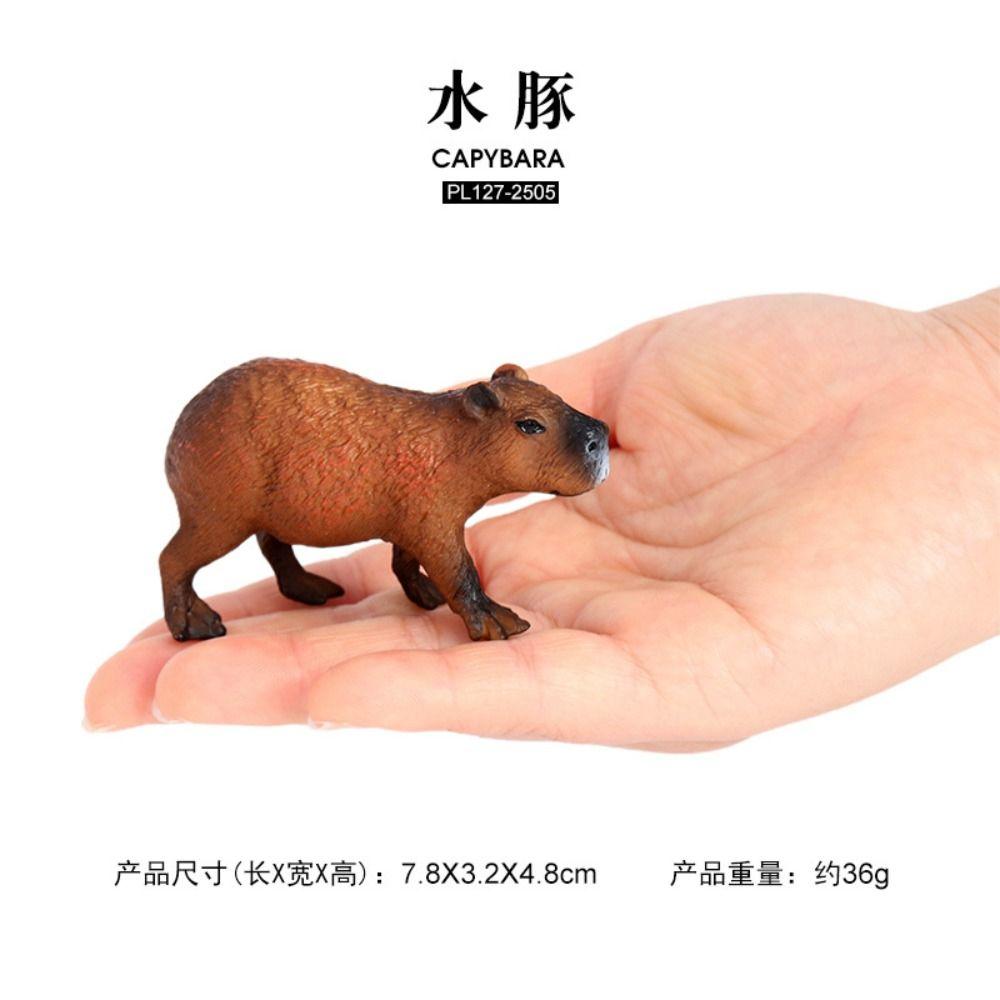 Мини Модель Дикого Животного Модель Капибары Игрушки Водный Дельфин Фигурка Капибара Фигурка C
Мини Модель Дикого Животного Модель Капибары Игрушки Водный Дельфин Фигурка Капибара Фигурка C