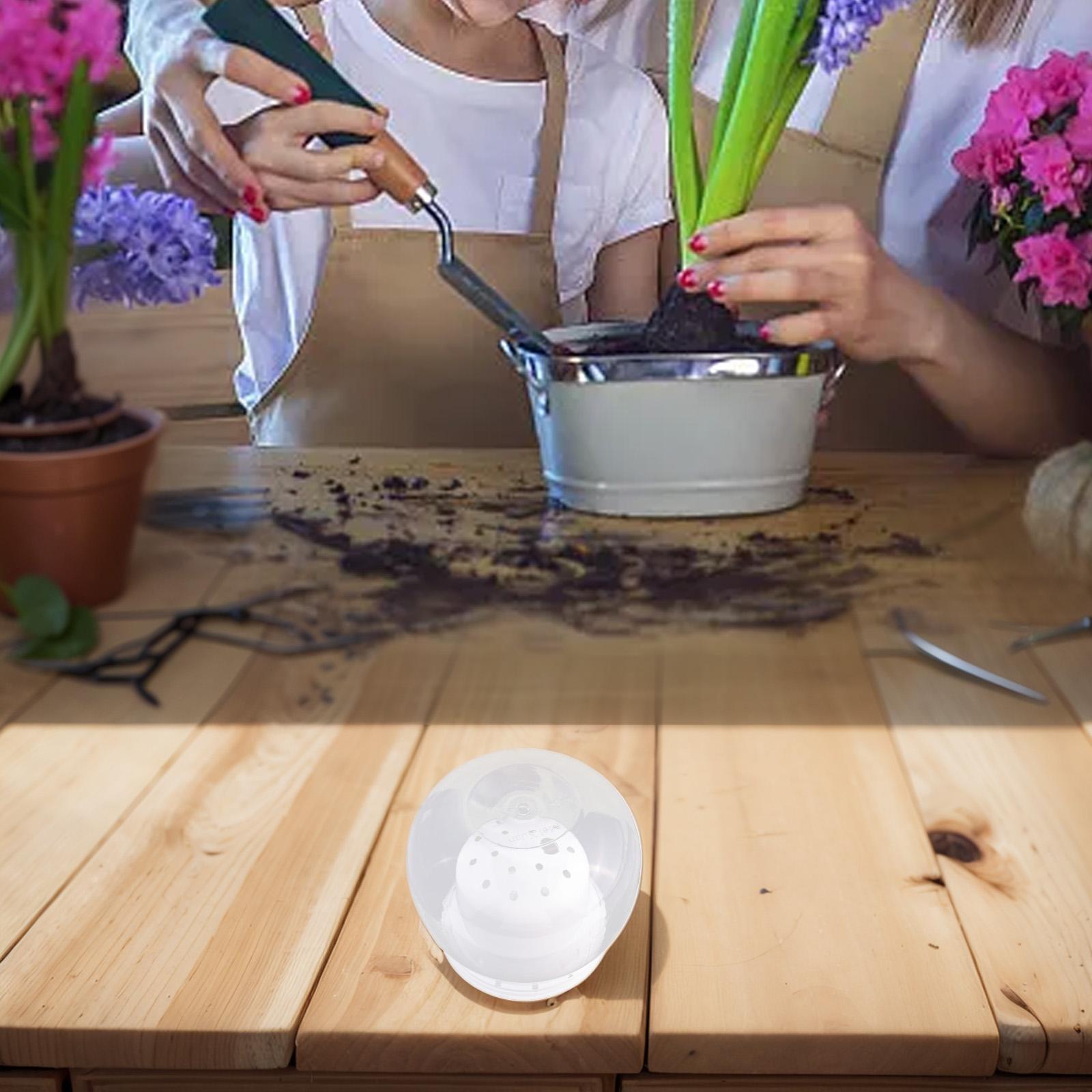 Package Content Indoor Garden Decor Design Flowerpot Indoor Garden Decor Self Watering Lightweight Design Features B
Package Content Indoor Garden Decor Design Flowerpot Indoor Garden Decor Self Watering Lightweight Design Features B