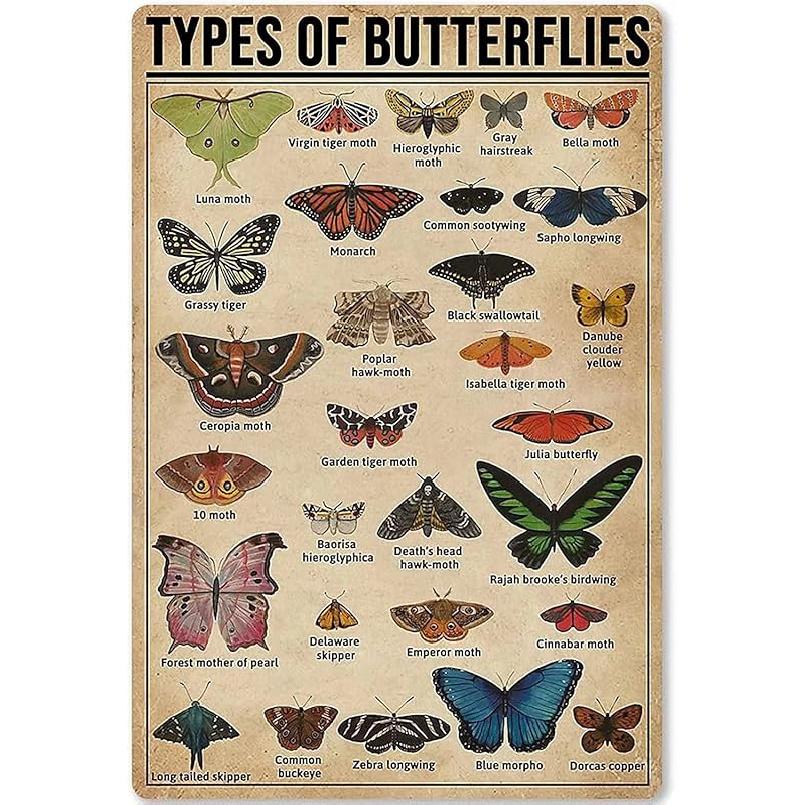 FEBIOAW Винтажная металлическая табличка Наклейка на стену Типы оленей Знания Жестяная табличка, Настенное искусство Ретро жестяная табличка Металлический постер для дома Бар Кафе Гараж Персонализированный 8x12inch
FEBIOAW Винтажная металлическая табличка Наклейка на стену Типы оленей Знания Жестяная табличка, Настенное искусство Ретро жестяная табличка Металлический постер для дома Бар Кафе Гараж Персонализированный 8x12inch