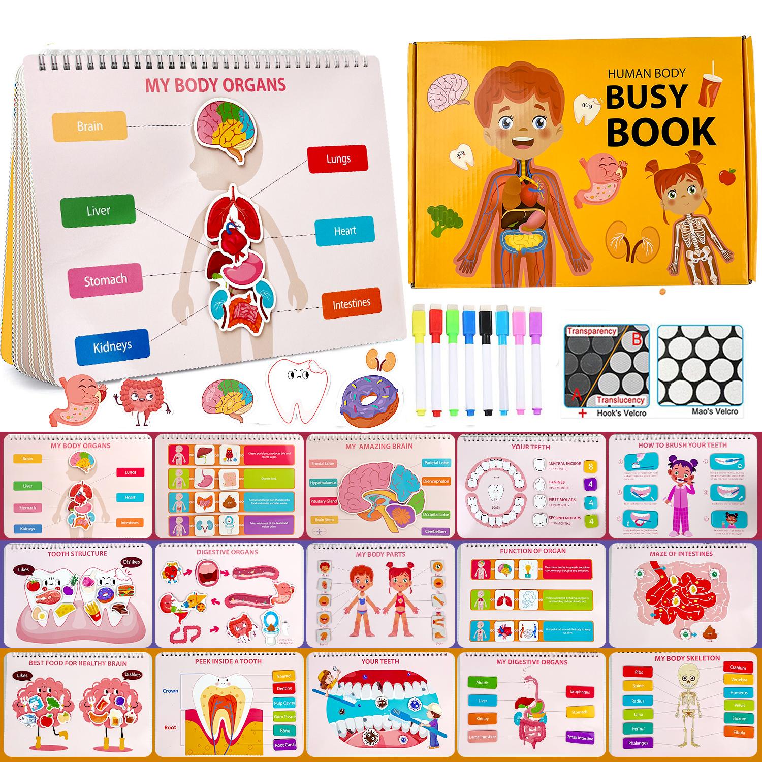 Montessori Busy Book for Kids, Human Body Anatomy Book for Toddlers, Preshool Kindergarten Learning Toys, Gifts for Girls
Montessori Busy Book for Kids, Human Body Anatomy Book for Toddlers, Preshool Kindergarten Learning Toys, Gifts for Girls