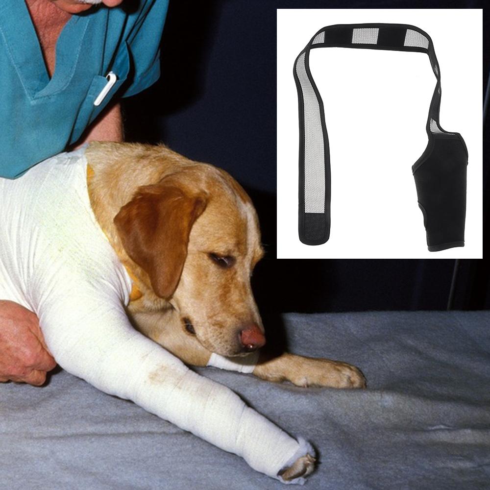 Breathable Leg Protector Recovery Sleeve Dog Support Brace Legs Wrap Pet Knee Pads Injury Recover
Breathable Leg Protector Recovery Sleeve Dog Support Brace Legs Wrap Pet Knee Pads Injury Recover