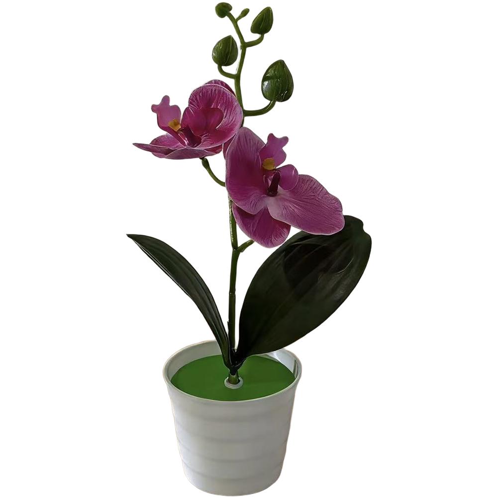 Fake Phalaenopsis Orchid in Decorative Pot for Indoor Spaces Living Room Office Bedroom Tabletop Shelf Styling
Fake Phalaenopsis Orchid in Decorative Pot for Indoor Spaces Living Room Office Bedroom Tabletop Shelf Styling