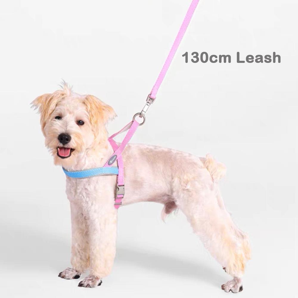 Adjustable Puppy Dog Chest and Back Vest for Small Breeds Dog Walking Leash With Traction Rope For Teddy Outdoor Supplies XS
Adjustable Puppy Dog Chest and Back Vest for Small Breeds Dog Walking Leash With Traction Rope For Teddy Outdoor Supplies XS