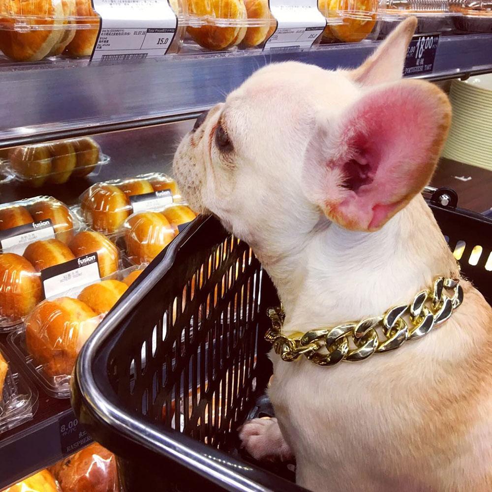 Gold Pet Cat Dog Collar Adjustable Light Plastic Small Dog Cuban Link Collar for Bulldog Puppy Necklace Pet Apparel Accessories чёрный
Gold Pet Cat Dog Collar Adjustable Light Plastic Small Dog Cuban Link Collar for Bulldog Puppy Necklace Pet Apparel Accessories чёрный