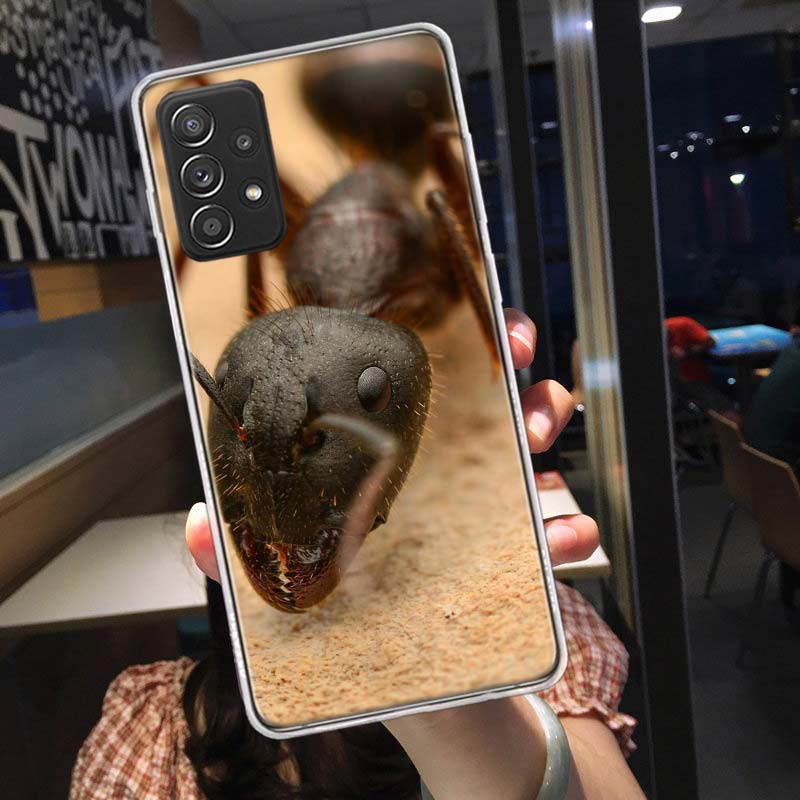 Красные огненные муравьи, Рабочие муравьи Чехол для телефона для Samsung A54 A57 A37 A17 A14 A15 A12 A24 A34 A55 A35 A25 A52S A07 A05S A04S A22 A32 A72 Samsung A37 5G
Красные огненные муравьи, Рабочие муравьи Чехол для телефона для Samsung A54 A57 A37 A17 A14 A15 A12 A24 A34 A55 A35 A25 A52S A07 A05S A04S A22 A32 A72 Samsung A37 5G