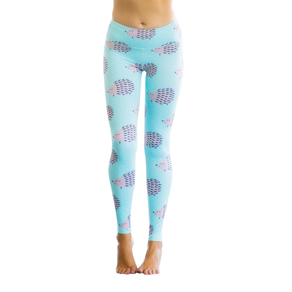 Women Hedgehog Print Sports Gym Yoga Running Fitness Leggings Pants Workout синий
Women Hedgehog Print Sports Gym Yoga Running Fitness Leggings Pants Workout синий