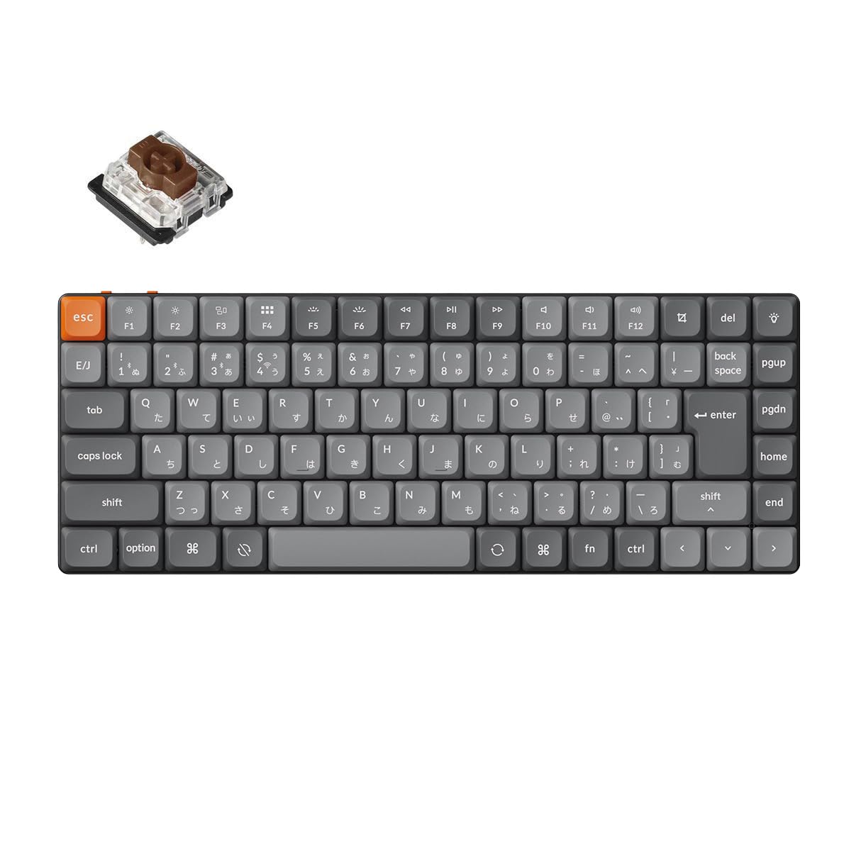 Keychron K3 Max Low Profile Wireless Custom Mechanical Bluetooth Wireless and Wired QMK JIS Double Shot PBT White LED Mac Windows Profile Gateron
Keychron K3 Max Low Profile Wireless Custom Mechanical Bluetooth Wireless and Wired QMK JIS Double Shot PBT White LED Mac Windows Profile Gateron