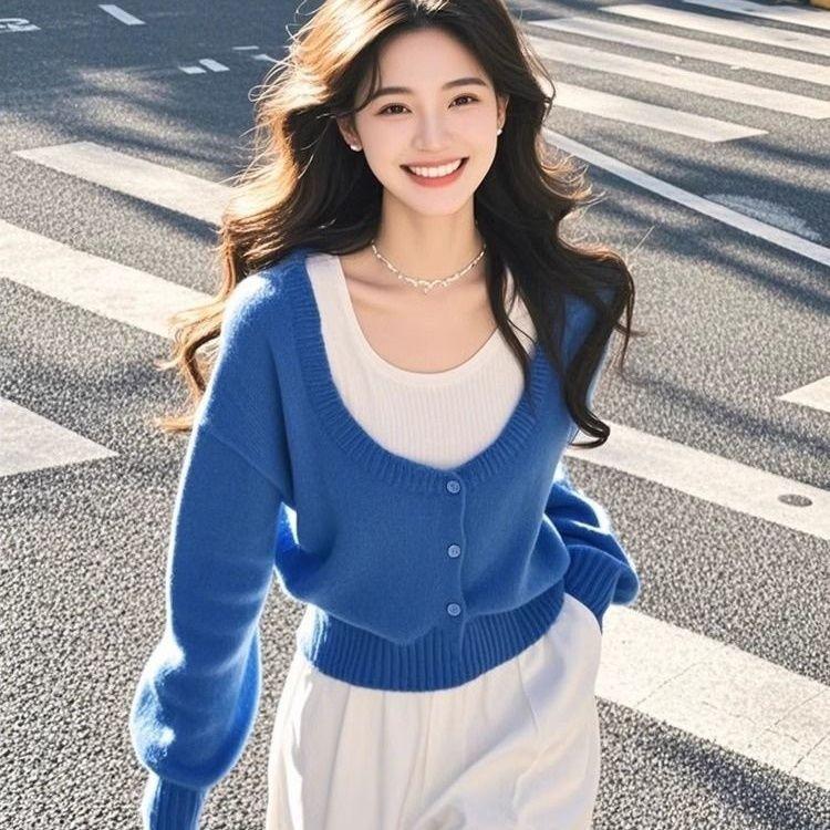 Blue Fake Two Piece Knit Top Women Autumn Winter Beautiful Sweater S
Blue Fake Two Piece Knit Top Women Autumn Winter Beautiful Sweater S