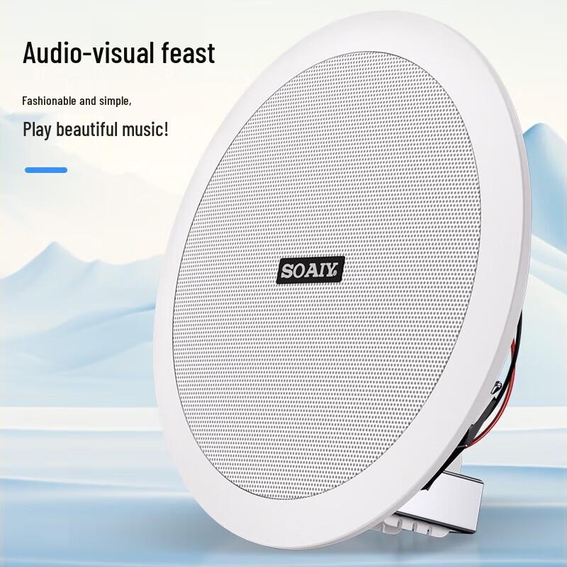 Soaiy XD-1541Y Bluetooth Ceiling Speaker System
Soaiy XD-1541Y Bluetooth Ceiling Speaker System