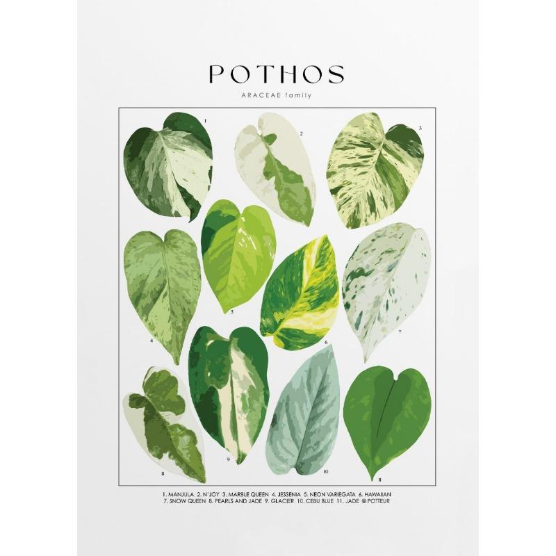 Классический Минималистичный Растительный Арт Тропические Растения Комнатные Растения Постеры Принты Холст Живопись Настенное Искусство Картина Гостиная Домашний Декор 21cm×30cm NoFrame
Классический Минималистичный Растительный Арт Тропические Растения Комнатные Растения Постеры Принты Холст Живопись Настенное Искусство Картина Гостиная Домашний Декор 21cm×30cm NoFrame